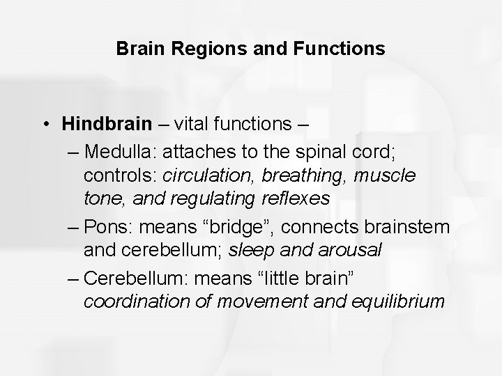 Brain Regions and Functions • Hindbrain – vital functions – – Medulla: attaches to