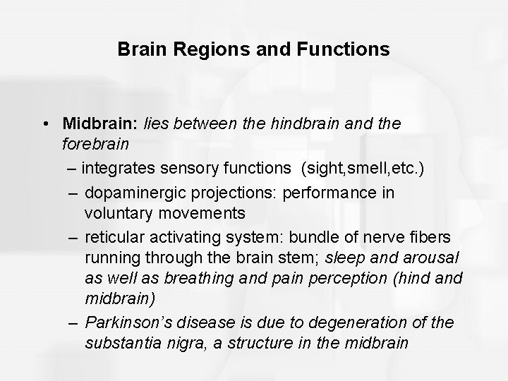 Brain Regions and Functions • Midbrain: lies between the hindbrain and the forebrain –