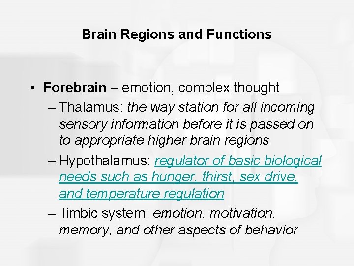 Brain Regions and Functions • Forebrain – emotion, complex thought – Thalamus: the way