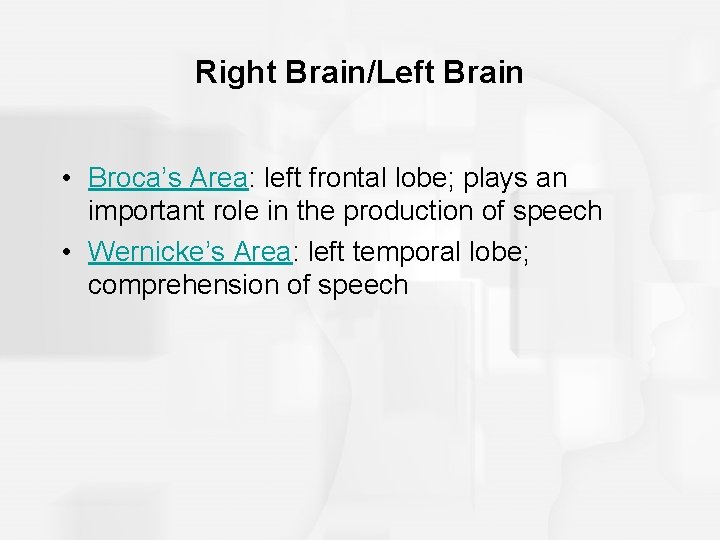 Right Brain/Left Brain • Broca’s Area: left frontal lobe; plays an important role in