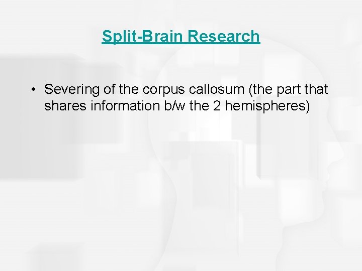Split-Brain Research • Severing of the corpus callosum (the part that shares information b/w