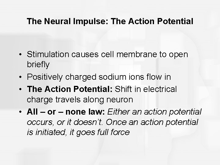 The Neural Impulse: The Action Potential • Stimulation causes cell membrane to open briefly