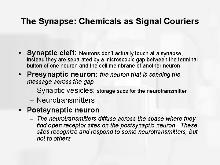 The Synapse: Chemicals as Signal Couriers • Synaptic cleft: Neurons don’t actually touch at