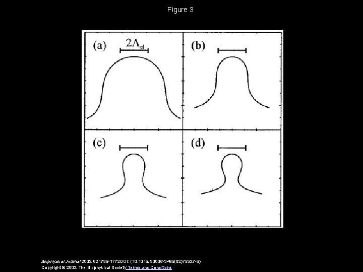 Figure 3 Biophysical Journal 2002 821756 -1772 DOI: (10. 1016/S 0006 -3495(02)75527 -6) Copyright