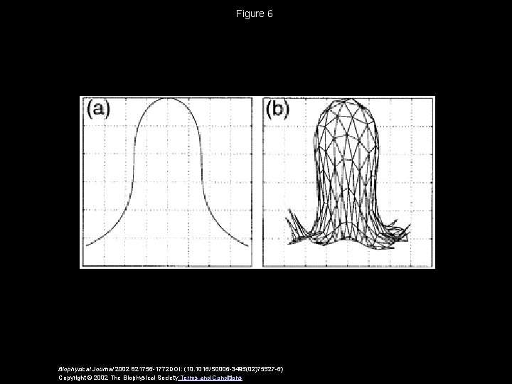 Figure 6 Biophysical Journal 2002 821756 -1772 DOI: (10. 1016/S 0006 -3495(02)75527 -6) Copyright