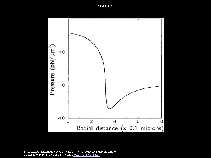 Figure 7 Biophysical Journal 2002 821756 -1772 DOI: (10. 1016/S 0006 -3495(02)75527 -6) Copyright