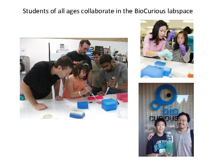 Students of all ages collaborate in the Bio. Curious labspace 