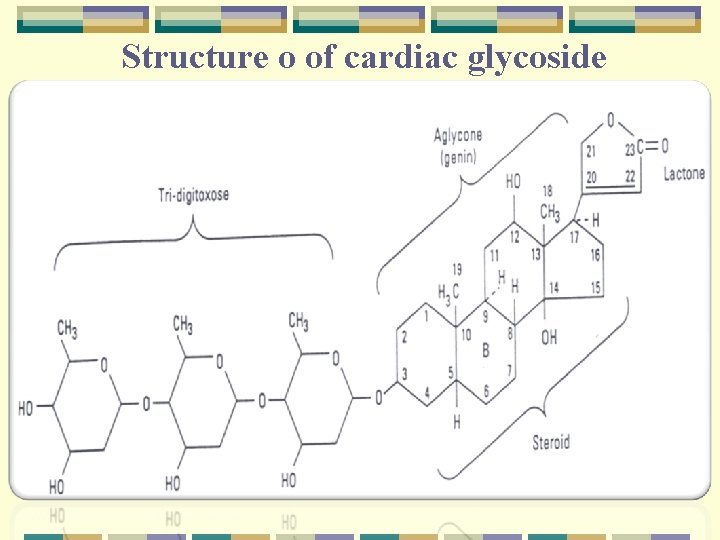 Structure o of cardiac glycoside 