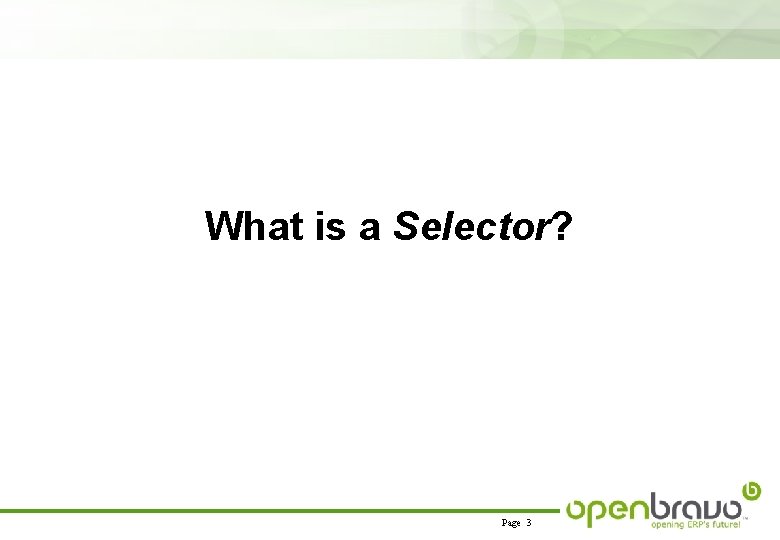 What is a Selector? Page 3 