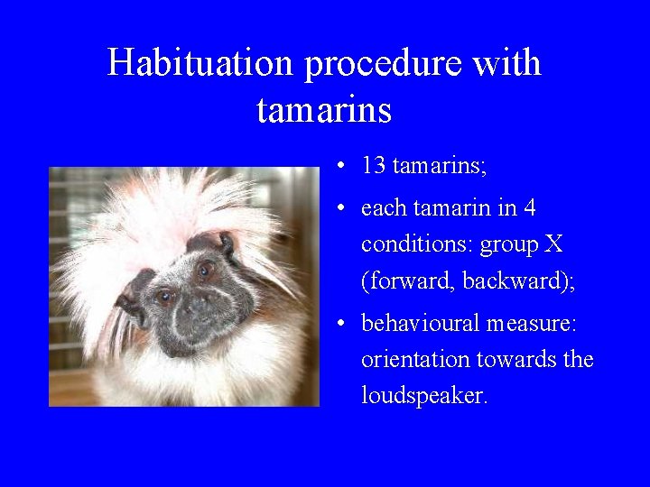 Habituation procedure with tamarins • 13 tamarins; • each tamarin in 4 conditions: group