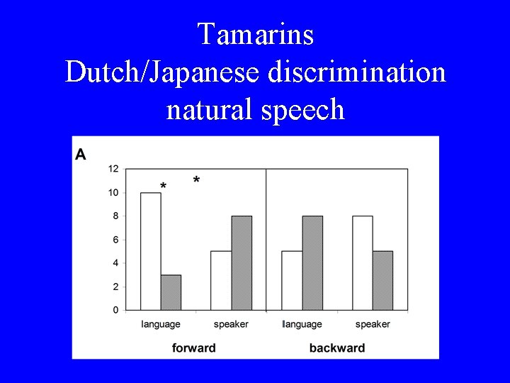 Tamarins Dutch/Japanese discrimination natural speech 