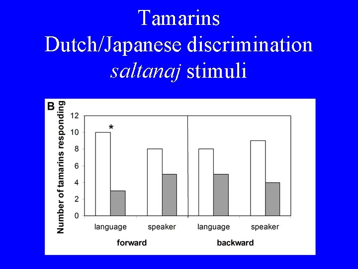 Tamarins Dutch/Japanese discrimination saltanaj stimuli 