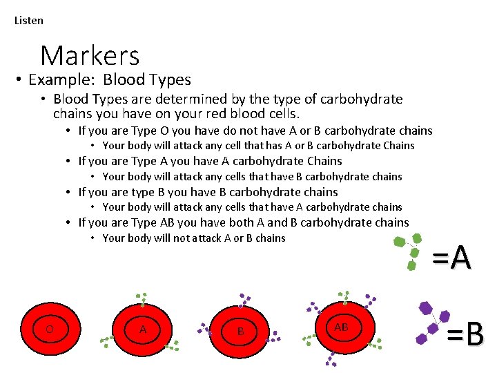 Listen Markers • Example: Blood Types • Blood Types are determined by the type