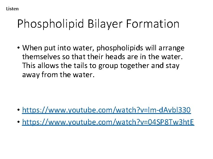 Listen Phospholipid Bilayer Formation • When put into water, phospholipids will arrange themselves so