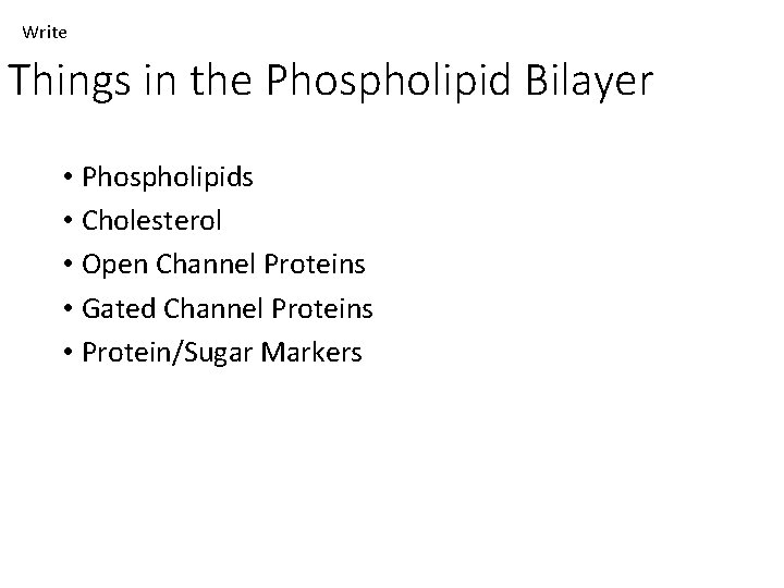 Write Things in the Phospholipid Bilayer • Phospholipids • Cholesterol • Open Channel Proteins