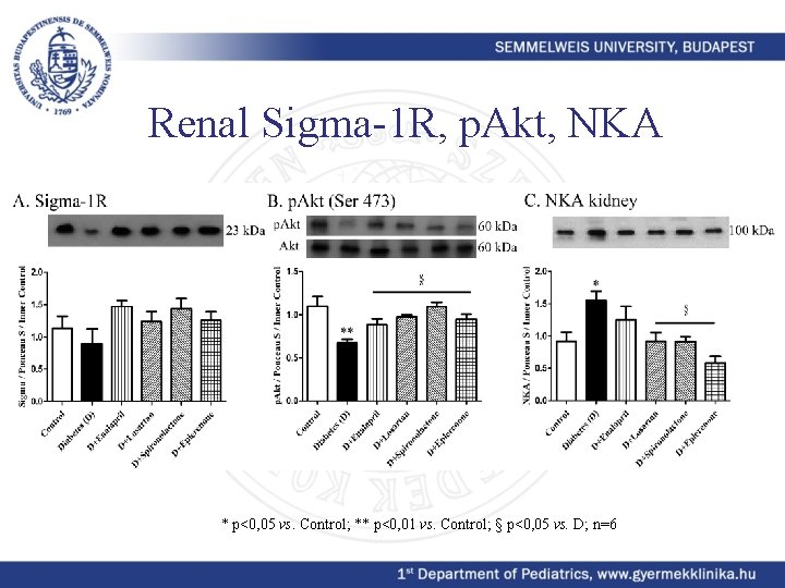 Renal Sigma-1 R, p. Akt, NKA * p<0, 05 vs. Control; ** p<0, 01