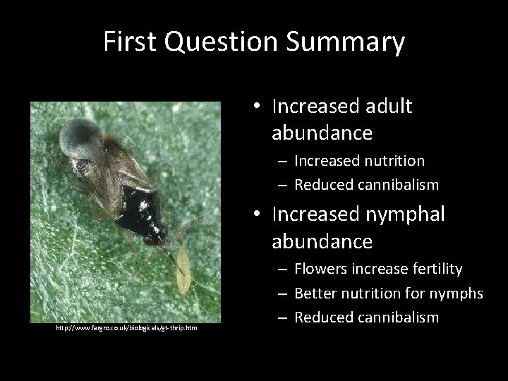 First Question Summary • Increased adult abundance – Increased nutrition – Reduced cannibalism •