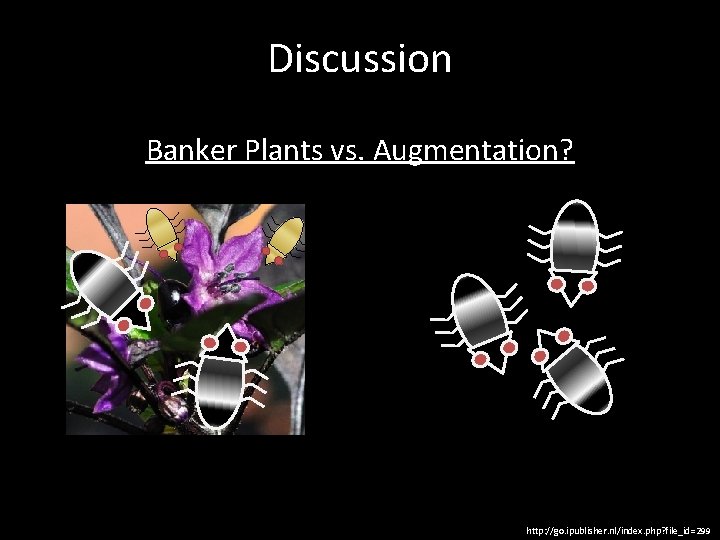 Discussion Banker Plants vs. Augmentation? http: //go. ipublisher. nl/index. php? file_id=299 