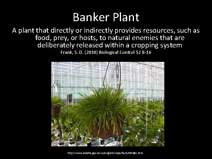 Banker Plant A plant that directly or indirectly provides resources, such as food, prey,