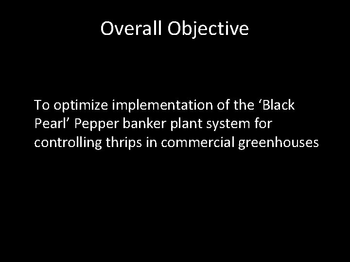 Overall Objective To optimize implementation of the ‘Black Pearl’ Pepper banker plant system for