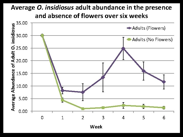 Average Abundance of Adult O. insidiosus Average O. insidiosus adult abundance in the presence