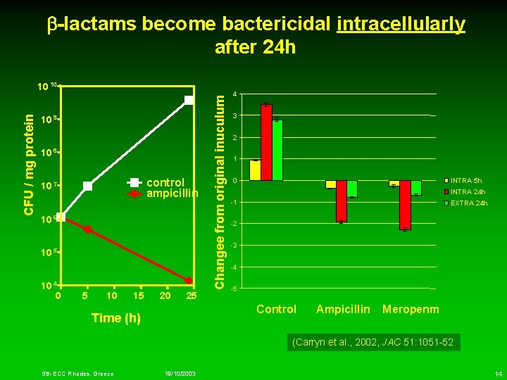  -lactams become bactericidal intracellularly after 24 h 10 9 10 8 control ampicillin