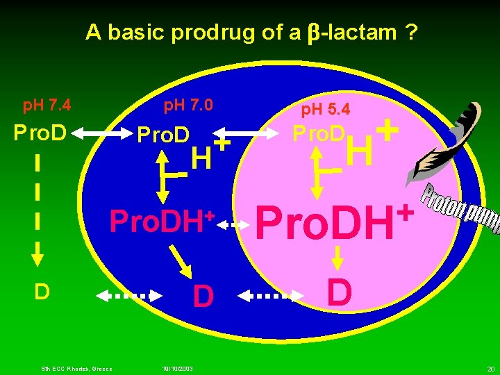 A basic prodrug of a -lactam ? p. H 7. 4 p. H 7.