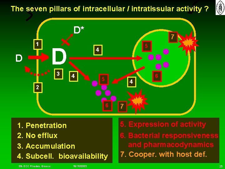 The seven pillars of intracellular / intratissular activity ? D* 1 D D D