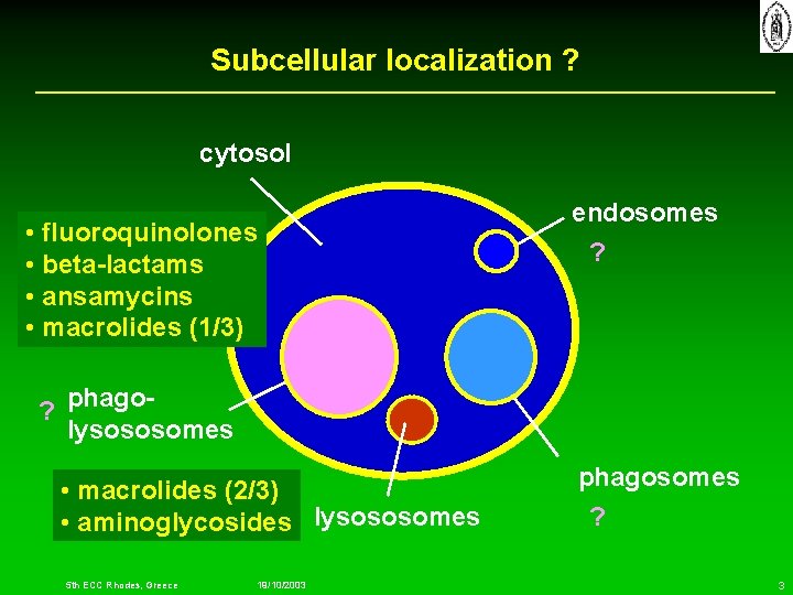 Subcellular localization ? cytosol • fluoroquinolones • beta-lactams • ansamycins • macrolides (1/3) endosomes