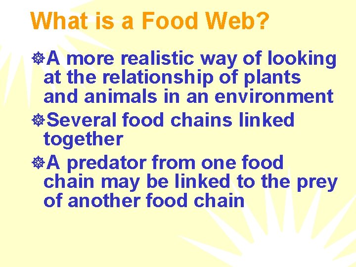 What is a Food Web? ]A more realistic way of looking at the relationship