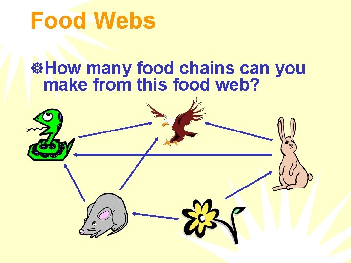 Food Webs ]How many food chains can you make from this food web? 