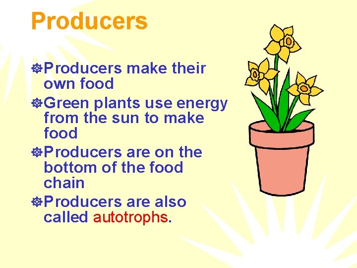 Producers ] Producers make their own food ] Green plants use energy from the