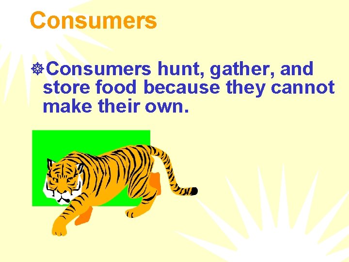 Consumers ]Consumers hunt, gather, and store food because they cannot make their own. 