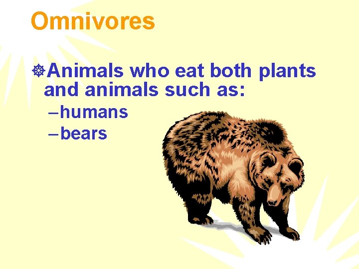 Omnivores ]Animals who eat both plants and animals such as: – humans – bears