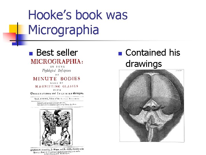 Hooke’s book was Micrographia n Best seller n Contained his drawings 