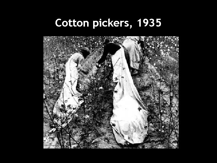 Cotton pickers, 1935 Cotton pickers, 1935