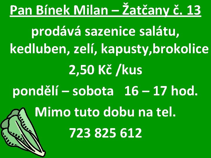 Pan Bínek Milan – Žatčany č. 13 prodává sazenice salátu, kedluben, zelí, kapusty, brokolice