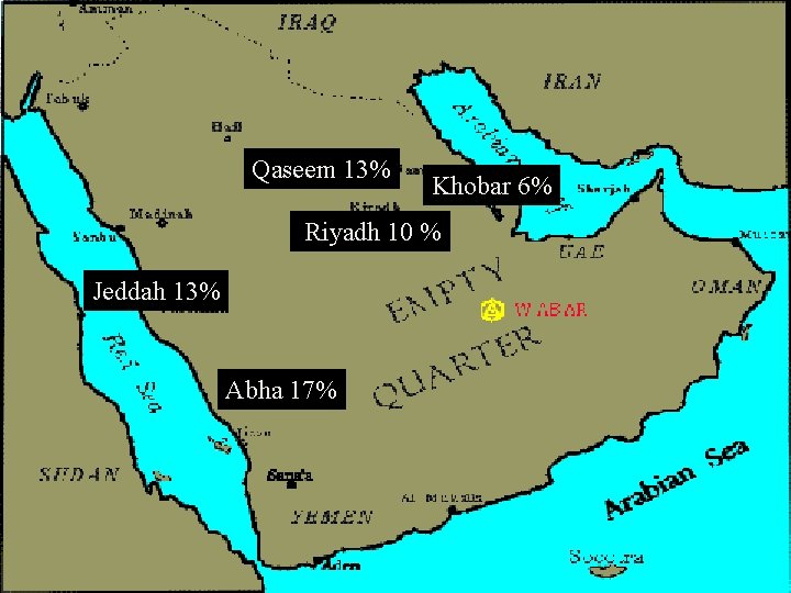 Qaseem 13% Khobar 6% Riyadh 10 % Jeddah 13% Abha 17% 