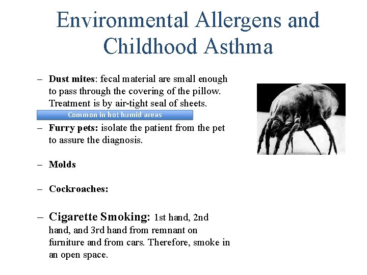 Environmental Allergens and Childhood Asthma – Dust mites: fecal material are small enough to