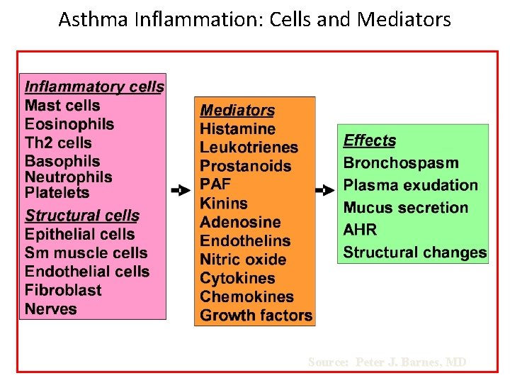 Asthma Inflammation: Cells and Mediators Source: Peter J. Barnes, MD 