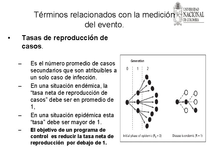 Términos relacionados con la medición del evento. • Tasas de reproducción de casos. –