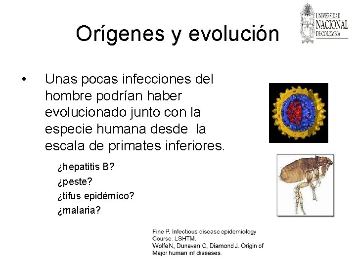 Orígenes y evolución • Unas pocas infecciones del hombre podrían haber evolucionado junto con