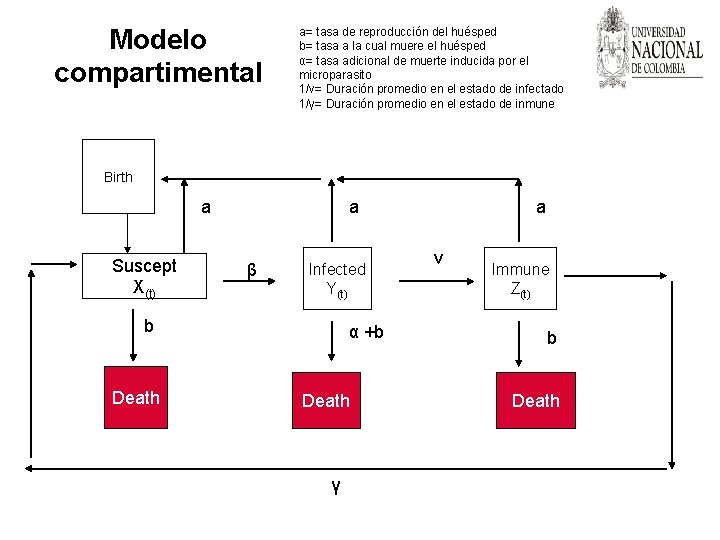 Modelo compartimental a= tasa de reproducción del huésped b= tasa a la cual muere