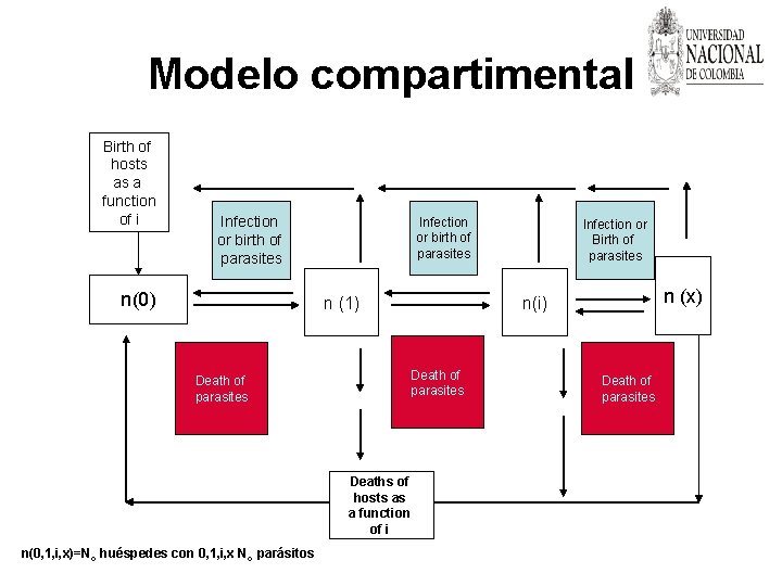 Modelo compartimental Birth of hosts as a function of i Infection or birth of