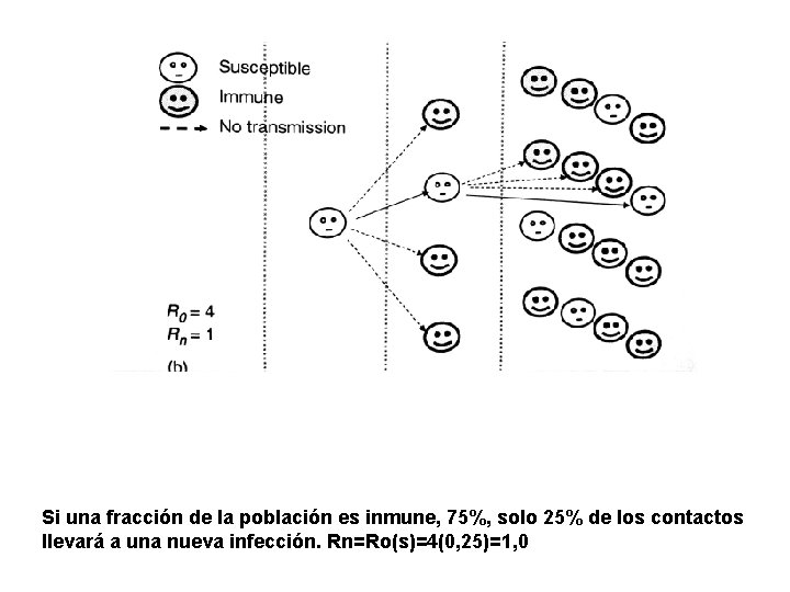 Si una fracción de la población es inmune, 75%, solo 25% de los contactos