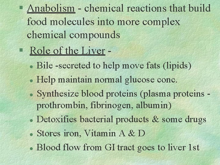 § Anabolism - chemical reactions that build food molecules into more complex chemical compounds