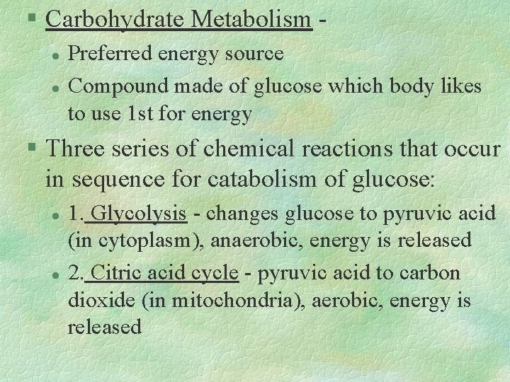 § Carbohydrate Metabolism l l Preferred energy source Compound made of glucose which body