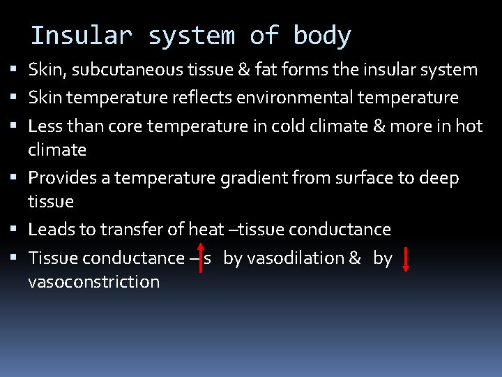 Insular system of body Skin, subcutaneous tissue & fat forms the insular system Skin