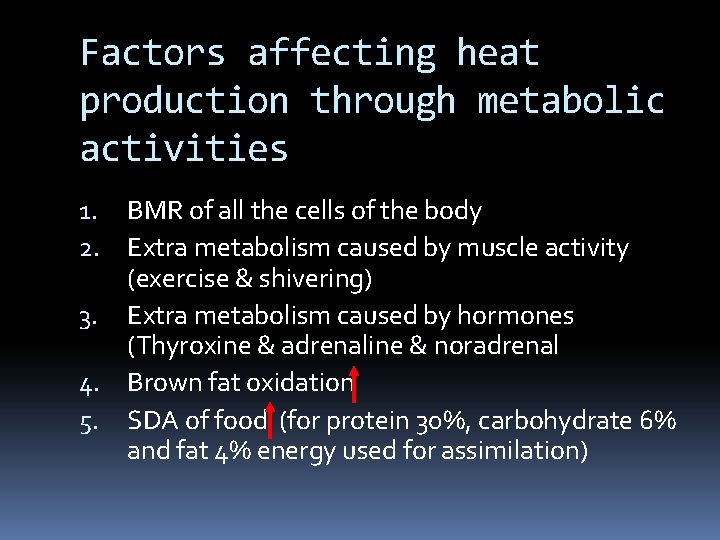 Factors affecting heat production through metabolic activities 1. BMR of all the cells of