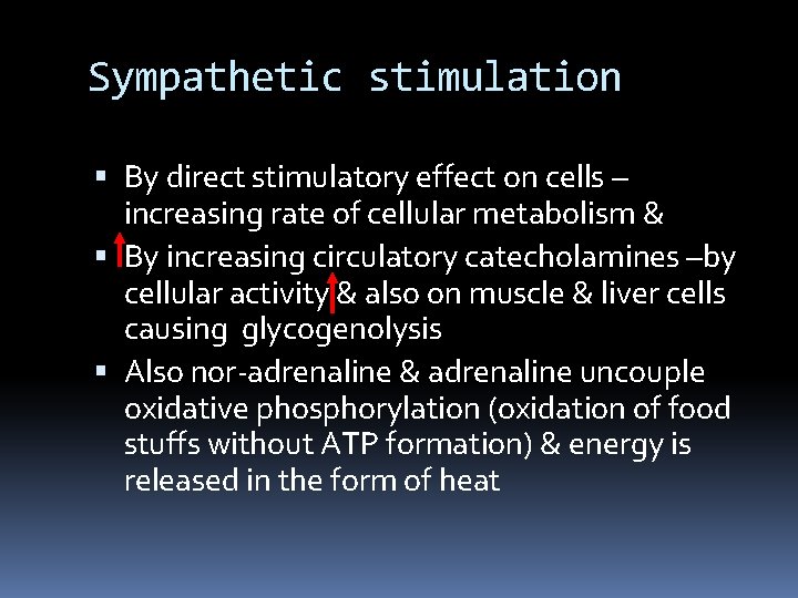 Sympathetic stimulation By direct stimulatory effect on cells – increasing rate of cellular metabolism